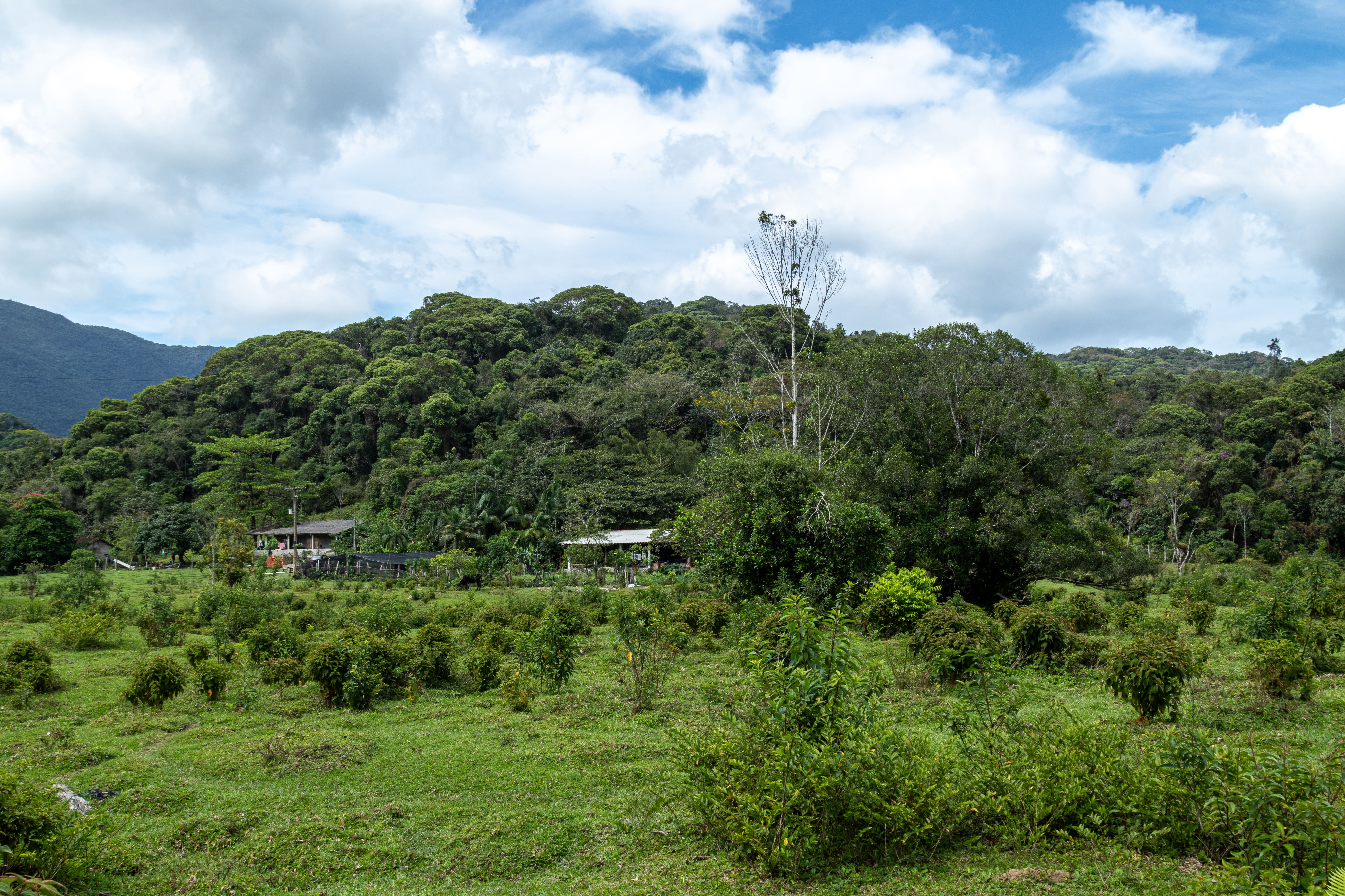 Camping rústico