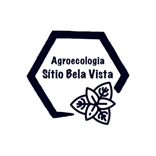 Meu Site